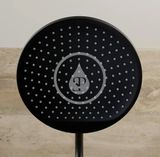 Hansgrohe Crometta - Hlavová sprcha S 240, EcoSmart, matná čierna