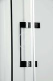Gelco Dragon - Sprchové dvere dvojdielne 800 mm, Coated Glass, lesklý hliník/číre sklo