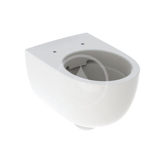 Geberit Selnova - Závesné WC, 530x355 mm, Rimfree, biela