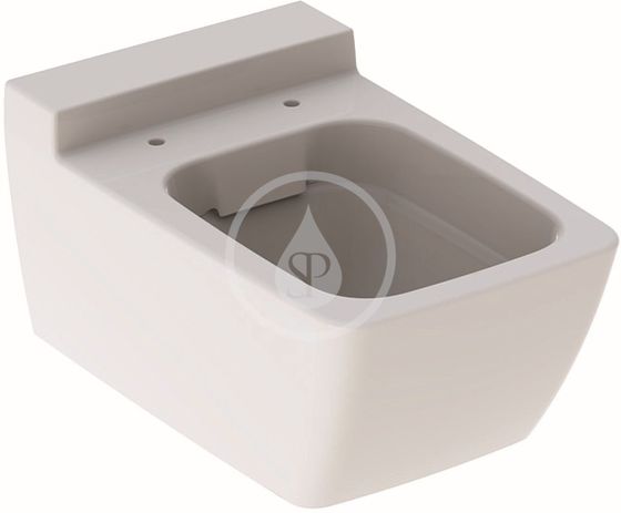 Geberit Xeno 2 - Závesné WC, 540x350 mm, Rimfree, biela
